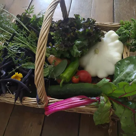 Alojamento de Acomodação e Pequeno-almoço La Maison D'hotte